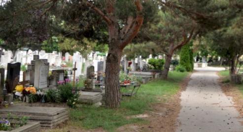 A díjstop miatt leállt a sírgondozás a nagyobb fővárosi temetőkben, pénz híján senki nem akarja vállalni a feladatot