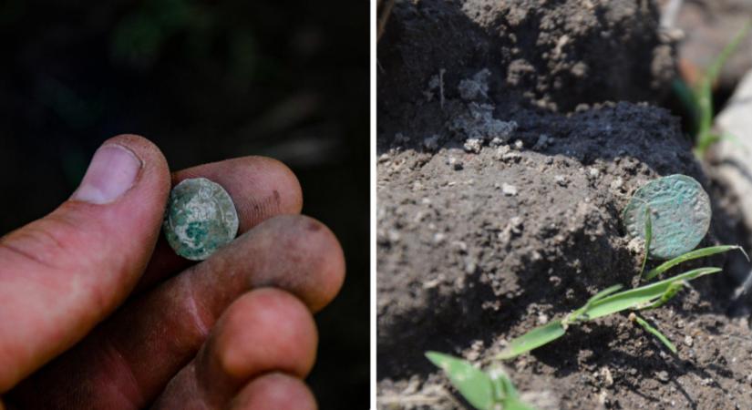 Több mint 400 ezüstpénzt találtak a Temes megyei Gavosdián