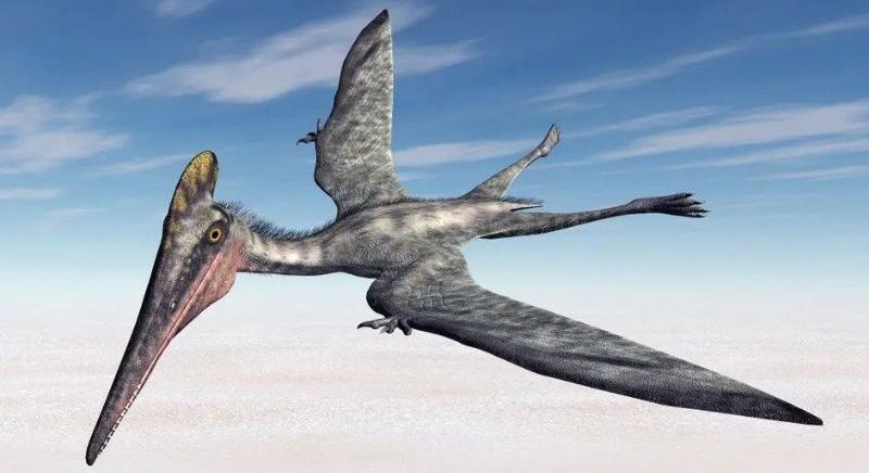 A dinoszauruszok repülő rokonai változtatták tollaik színét?