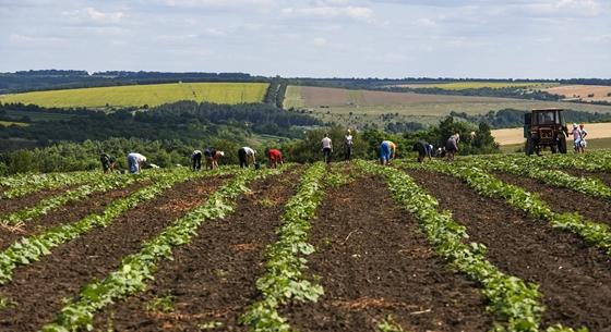 Átalakul az Agrárminisztérium, de Lázár nem viszi el a vidékfejlesztést
