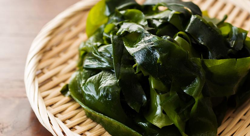 5 ok, amiért neked is érdemes algát enni