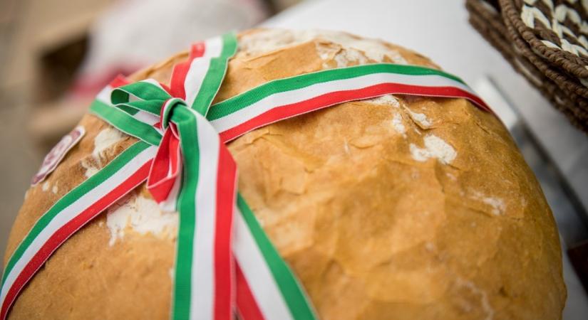 Debreceni cégvezető: nyáron akár 800 forint is lehet egy kiló kenyér