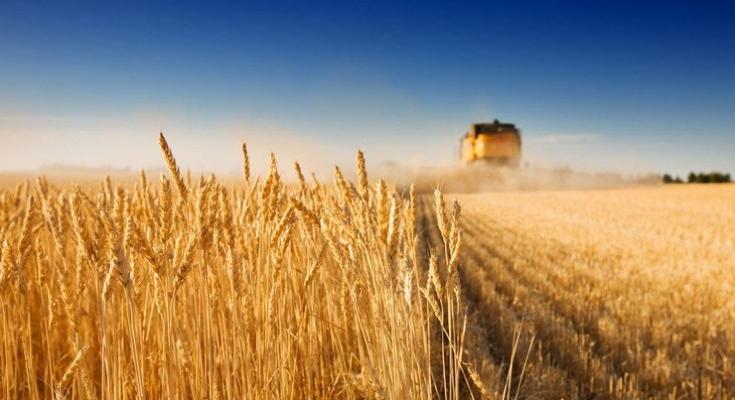 Ukrajna és Lengyelország közös nyilatkozatot írt alá az ukrán gabona exportjáról