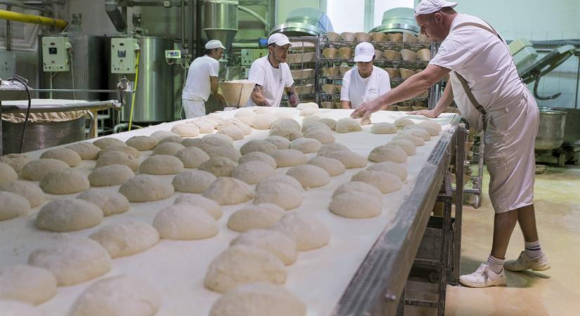 Nyárra akár 800 forintba is kerülhet egy kiló kenyér