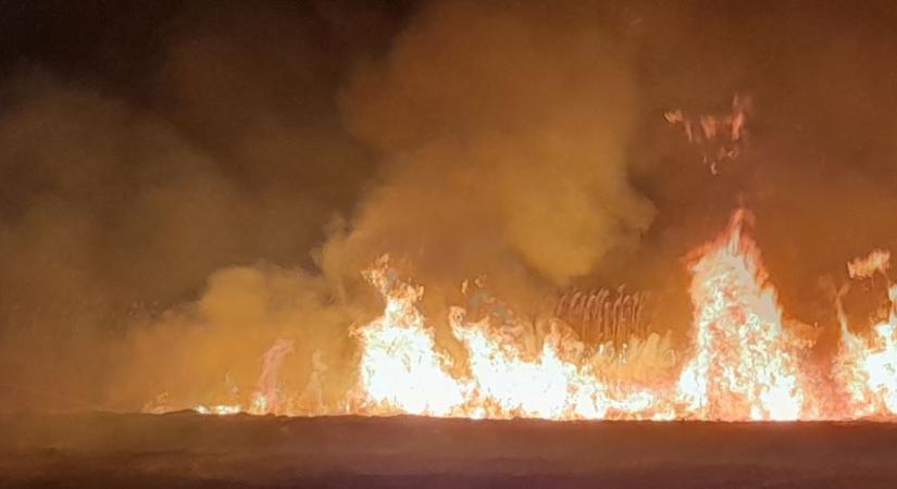 Nádas, avar és a gaz is égett Hajdú-Biharban