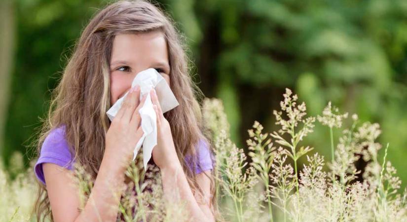 Egyre hosszabb a pollenszezon – Mit lehet tenni ellene?