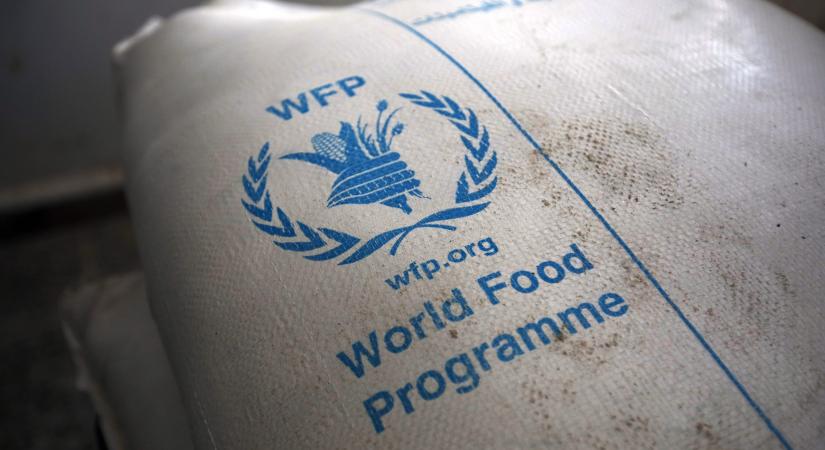 Megnevezte a FAO, mely országok szenvedhetnek a leginkább a háború okán kieső búzaimport miatt