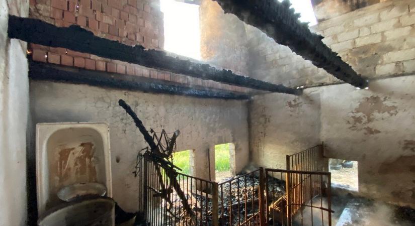 40 baromfi pusztult el egy tűzesetben a Beregszászi járásban