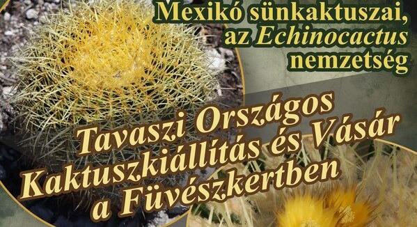 Tavaszi Országos Kaktuszkiállítás és Vásár az ELTE Füvészkertben május 27-29-ig