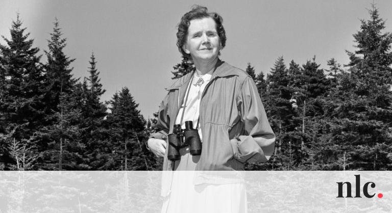 Halála után is támadják a környezetvédelem ikonját – 60 éve jelent meg Rachel Carsontól a Néma tavasz