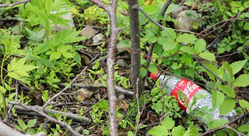A kupakok rögzítésével pörgetné fel az újrahasznosítást a Coca-Cola