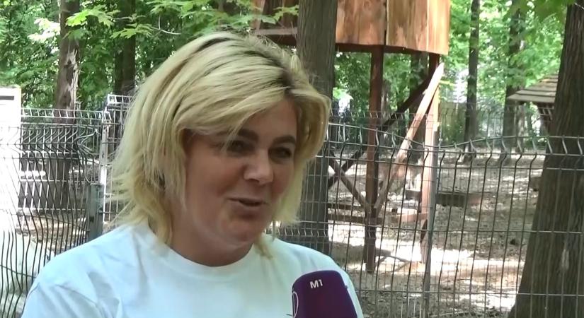 A nyíregyházi állatkertben jártak a nagycsaládosok (videó)
