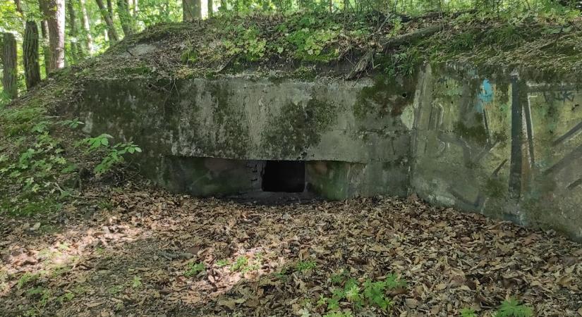 Bunkereket és lövészárkokat rejt az erdő Dél-Zalában