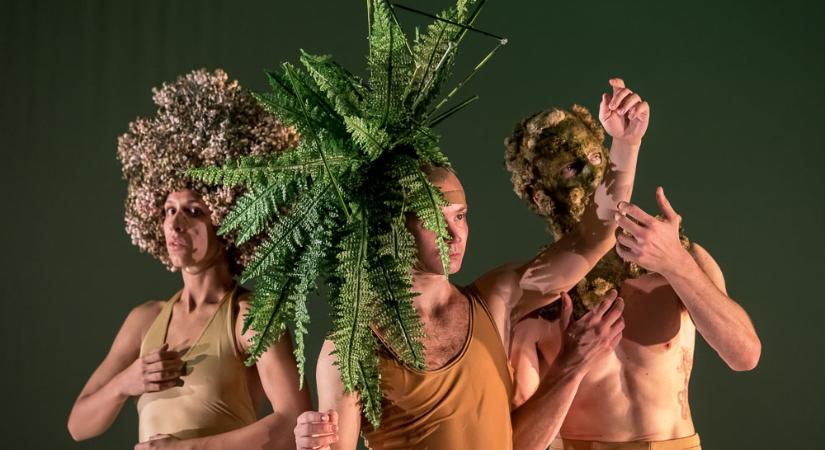 ZÖME FESZT – A fenntarthatóságra fókuszáló összművészeti fesztivált szervez a Duda Éva Társulat