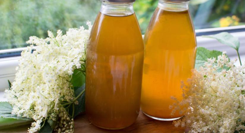 Íme a 12 legjobb bodzaszörp recept + 5 tipp, hogy tökéletes legyen!