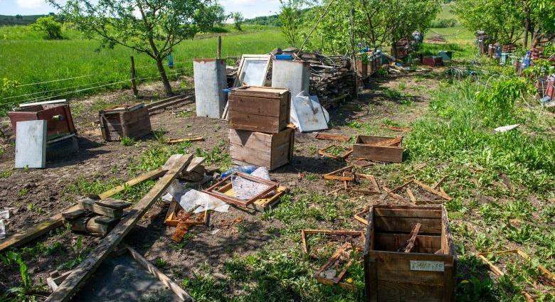 Szétzúzott méhkaptárakat, összetört gyümölcsfákat hagynak maguk mögött a medvék