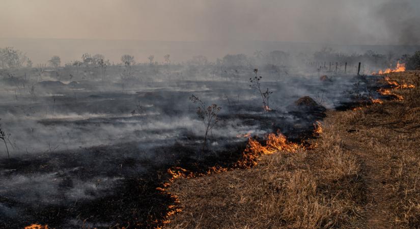 Szörnyű pusztítást végzett a tűz: lángolt a Hortobágy, 180 hektáron égett a puszta
