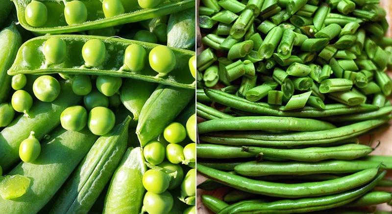 Zöldborsó és zöldbab: Segítik az emésztést, erősítik az immunrendszert és tele vannak vitaminnal - Receptötlettel