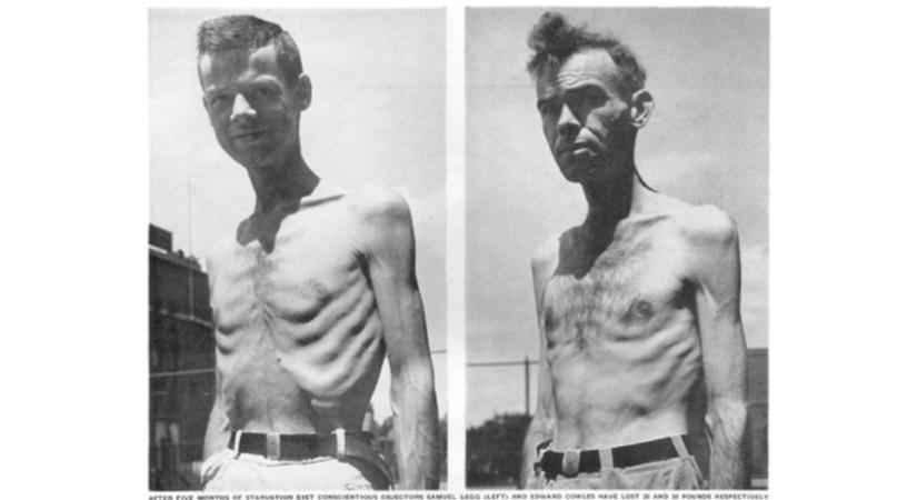 Brutális kísérletben éheztették az embereket amerikai kutatók a világháború alatt