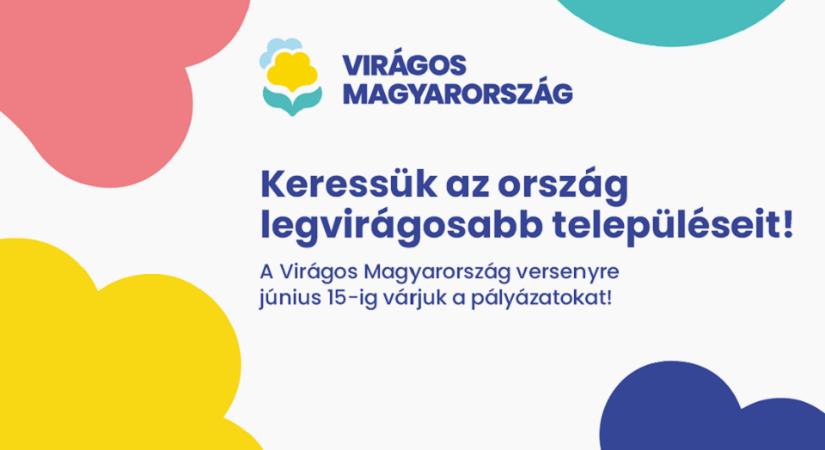 Virágos Magyarország: június 15-ig pályázhatnak a települések
