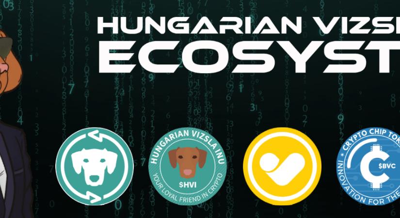 Brutál forgalommal indult az első magyar decentralizált kriptotőzsde