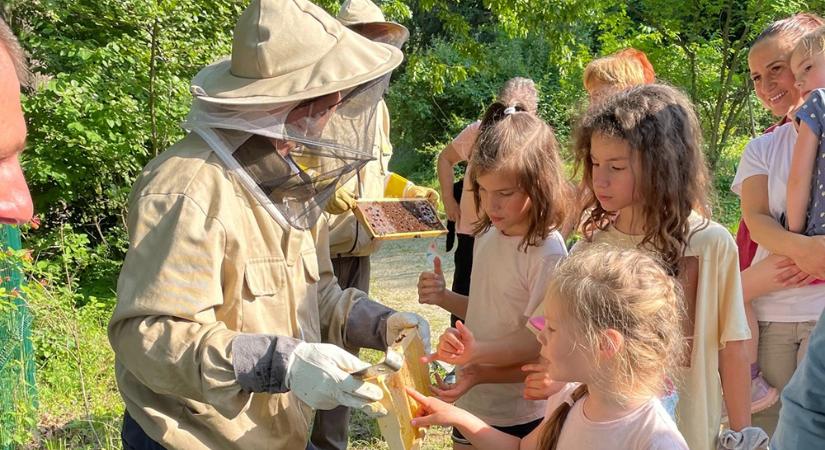 Méheket vet be a környezeti állapot vizsgálatára a Soproni Egyetem
