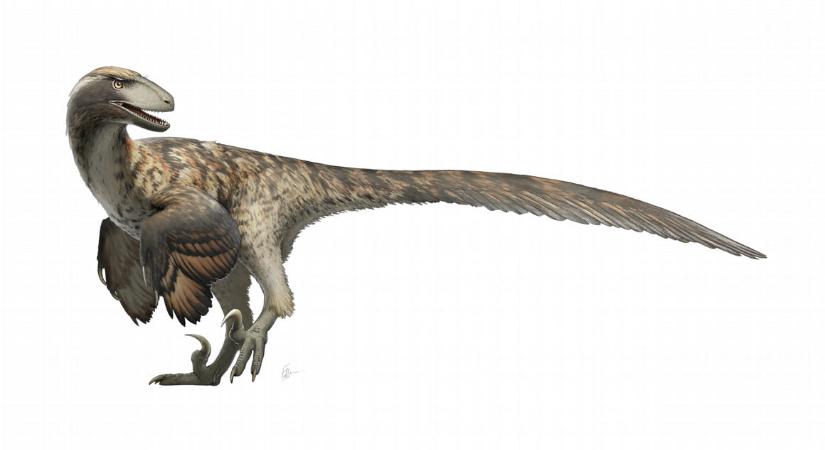 Már a legelső dinoszauruszok és pteroszauruszok is melegvérűek voltak