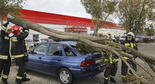 Tetőket rongált meg, fákat döntött ki a vihar a Nyugat-Dunántúlon