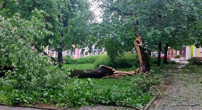 A kaposvári polgármester szerint példátlan természeti csapás érte a várost
