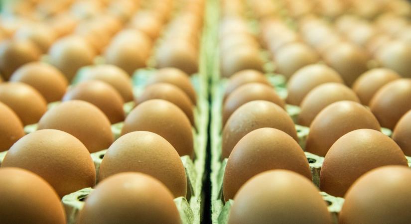 Jó hír a vásárlóknak, hogy csak ennyivel drágult a tojás Magyarországon