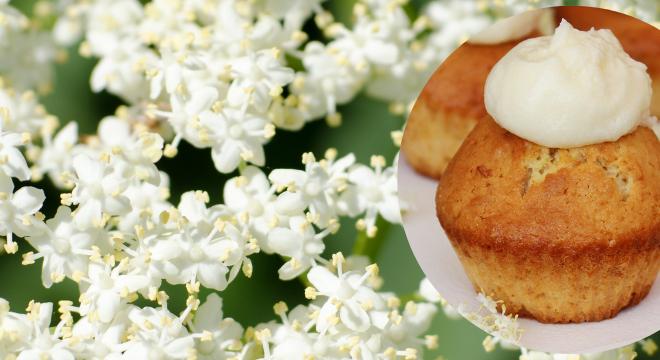 Bodzás muffin vaníliakrémmel