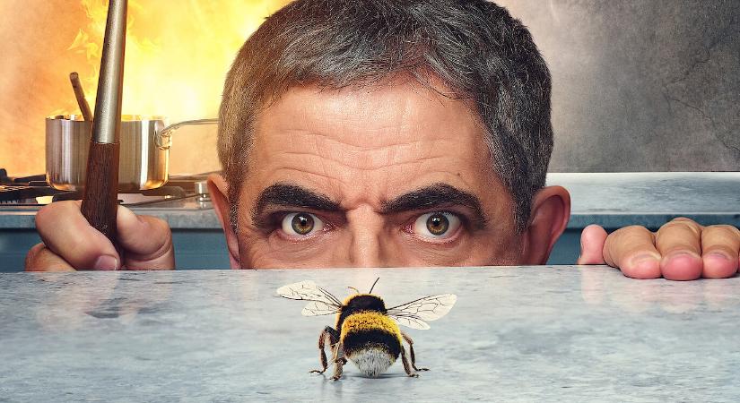 Rowan Atkinsont egy méh kergeti az őrületbe A férfi a méh ellen előzetesében