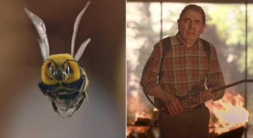 Rowan Atkinson egy bosszantó méh ellen harcol a Netflixen