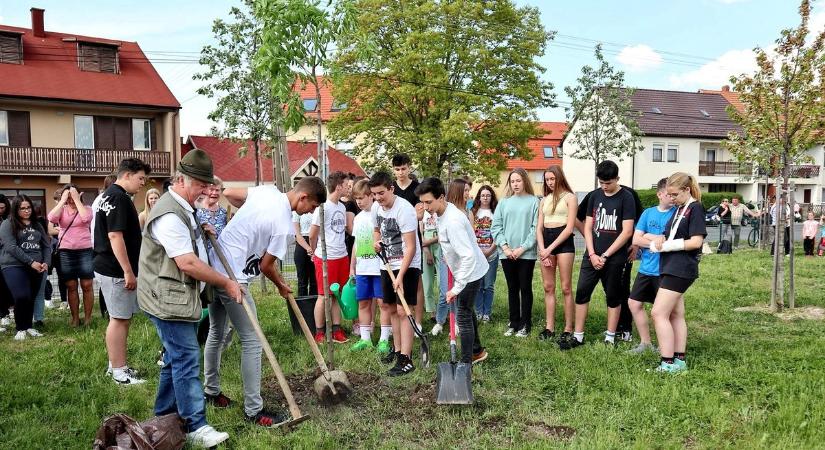 A sárvári katolikus iskola végzősei faültetéssel búcsúznak