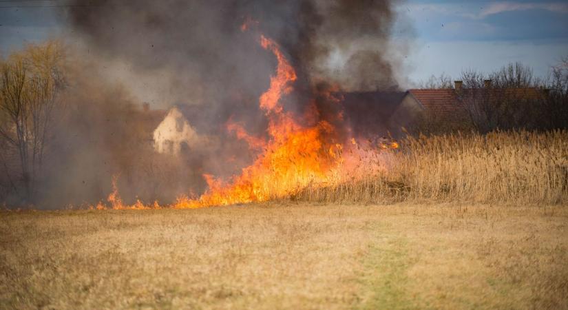 Ismét leégett több hektárnyi terület a megyében