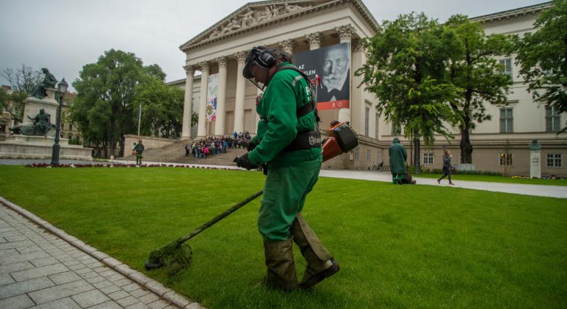Egymilliárdos üzlet a fű budapesti kezelése