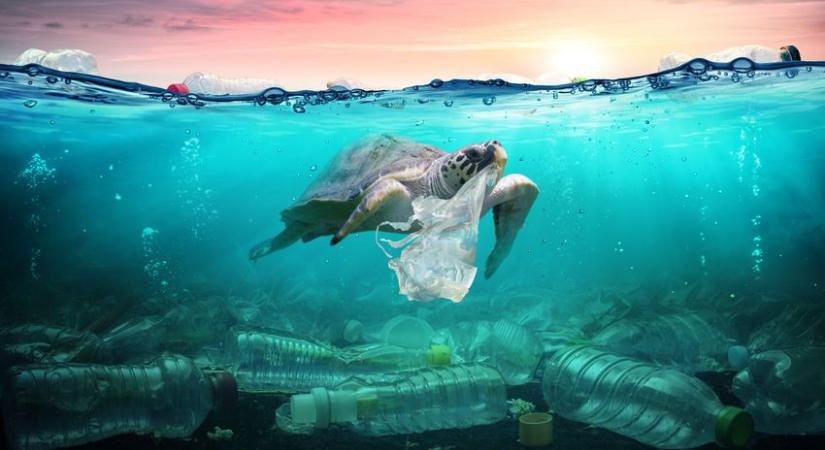 Elemezték a világ óceánjainak műanyagszennyezését – az eredmény lesújtó