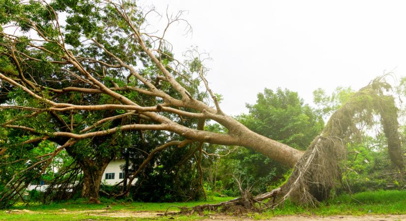 Durván letarolta az országot a vihar: százmilliós károkat szenvedtek a háztulajok