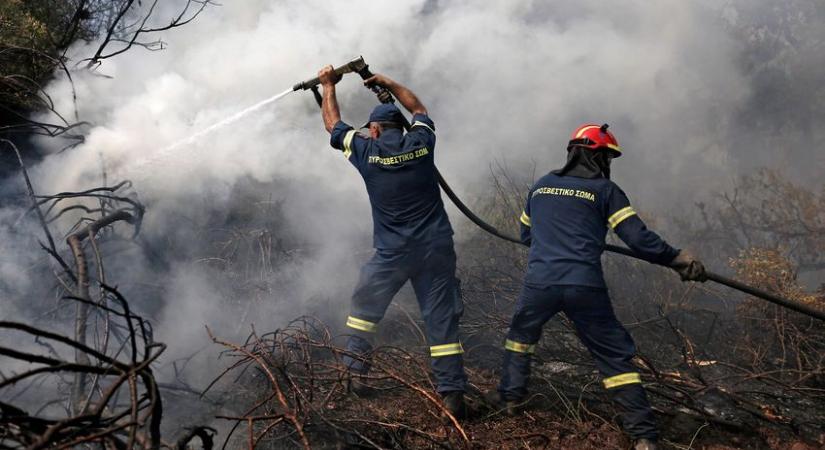 Európai tűzoltók segítenek be nyáron a görögországi erdőtüzek megfékezésébe
