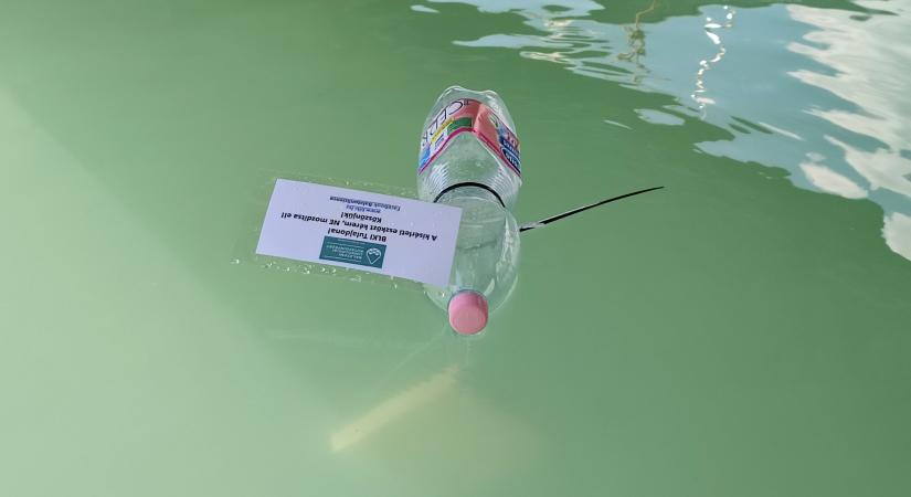 Ezek az úszó ásványvizes palackok a balatoni kutatásokat szolgálják