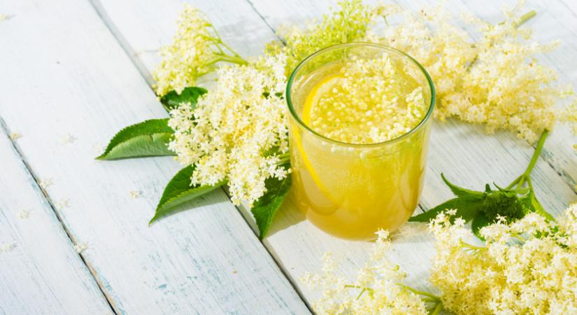 A legfinomabb citromos bodzaszörp receptje - Így készítve sokáig eláll
