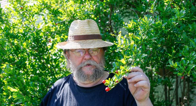 Eltűnt magyar almafajták nyomába eredt - Látogatás Ambrus Lajos író egyházashetyei kertjében