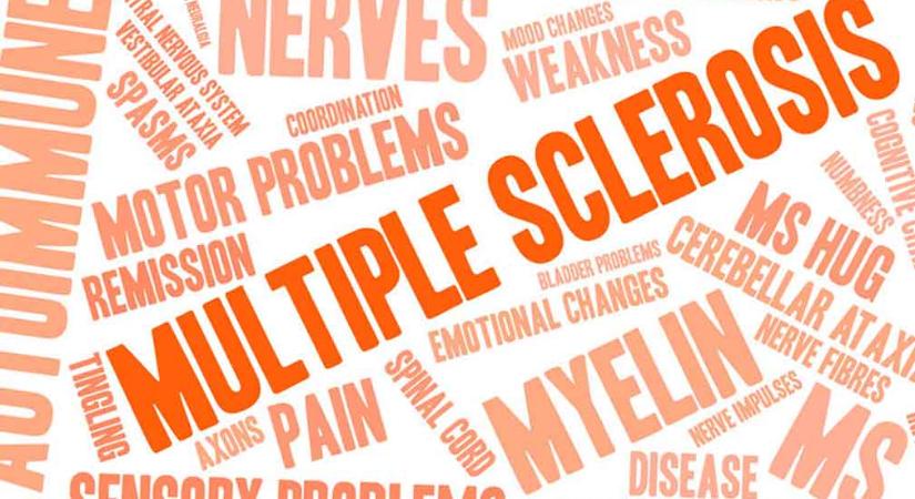 Szklerózis multiplex – Tudod, hogy mit jelentenek az ezzel kapcsolatos kifejezések?