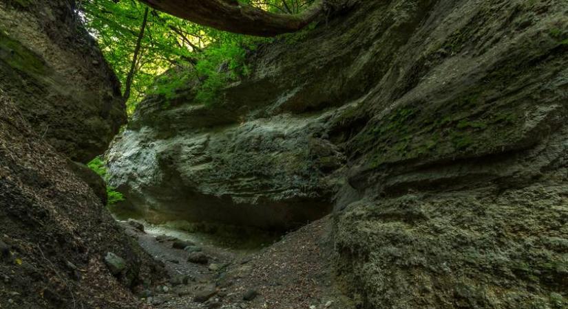 8 érintetlen völgy Magyarországon, ahol harapni lehet a levegőt: meseszép vidékeken vezet az út