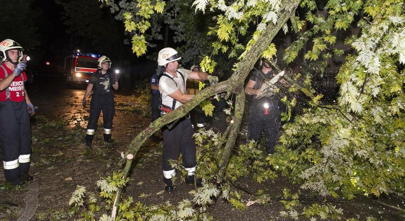 Tetőket bontott meg, fákat döntött ki a szombat esti vihar Vas megyében