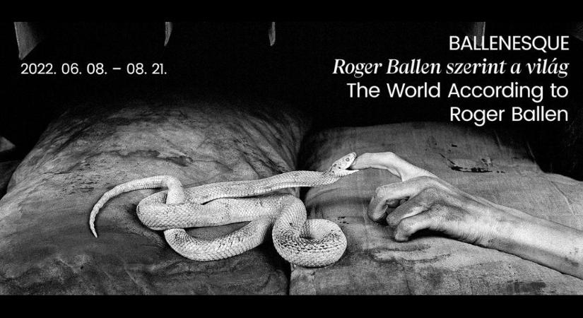 A világhírű fotós, Roger Ballen munkáiból nyílik kiállítás a Mai Manó Házban