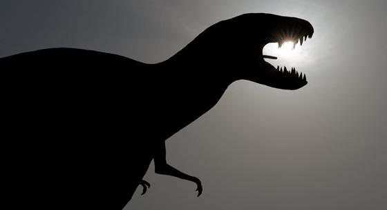 Az egyik legnagyobb európai húsevő dinoszaurusz maradványait fedezhették fel Wight szigetén