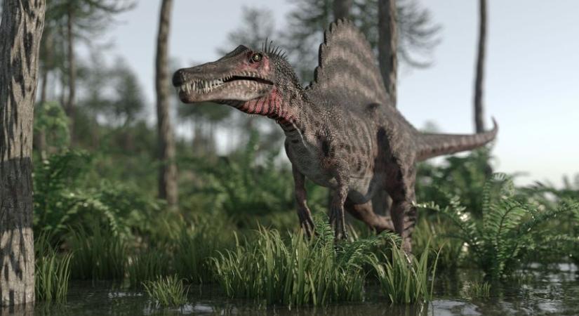 Rábukkantak az egyik legnagyobb európai húsevő dinoszaurusz maradványaira