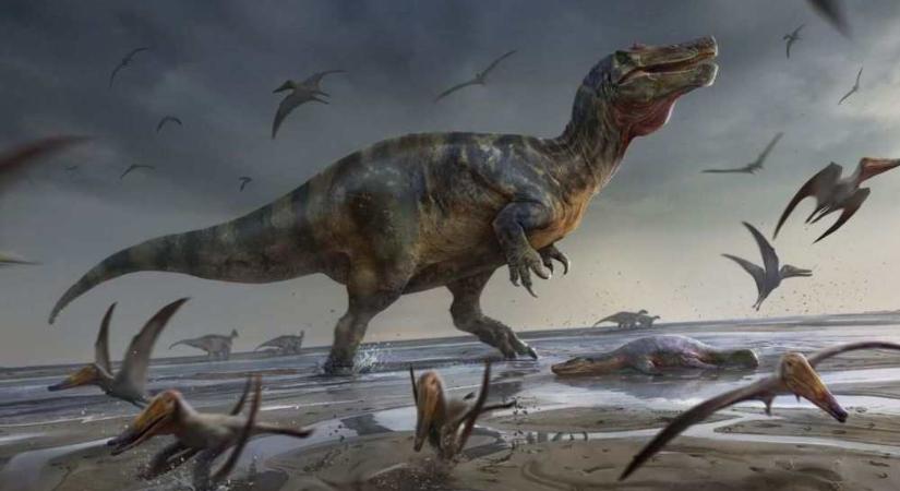 Húsevő dinoszaurusz-maradványt találtak a La Manche-ban