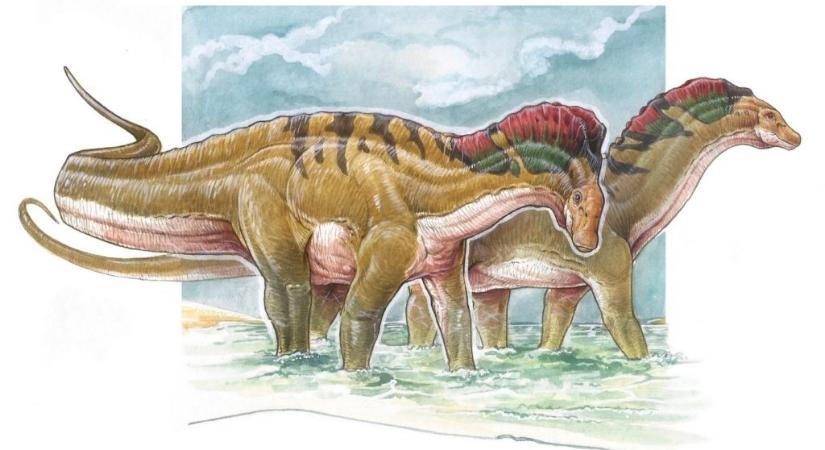 Mire szolgálhattak a különös dinoszaurusz háti tüskéi?